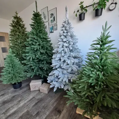 Vánoční stromky Bohumín Showroom